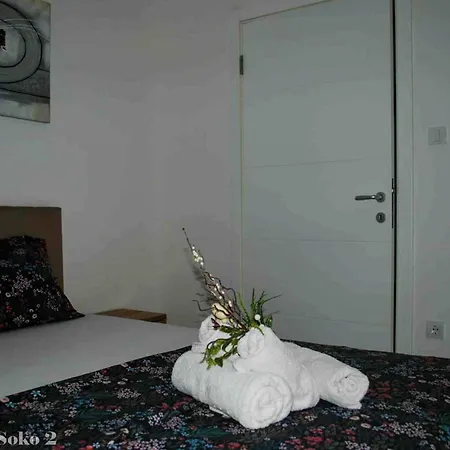 Appartement Soko 2 Sokobanja